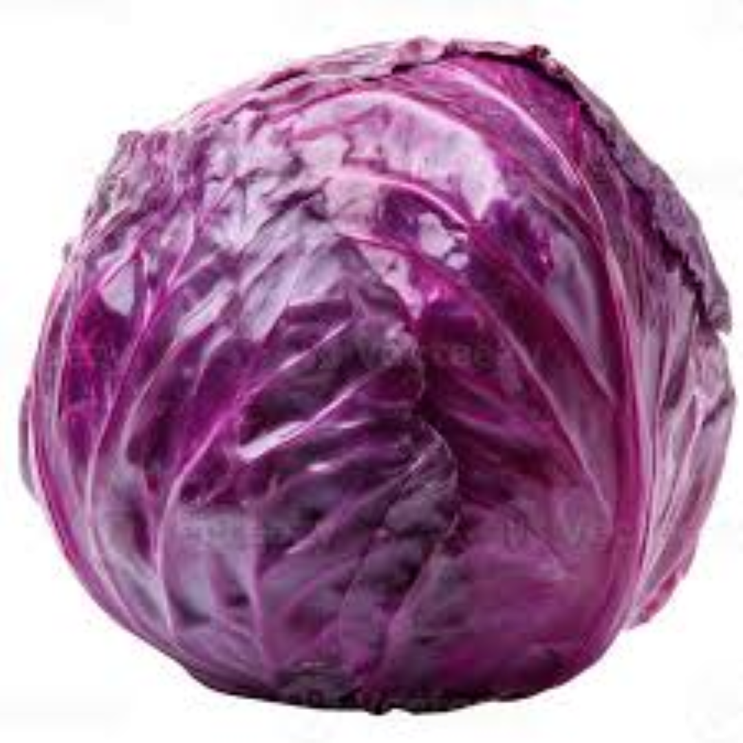 FRESH RED CABBAGE